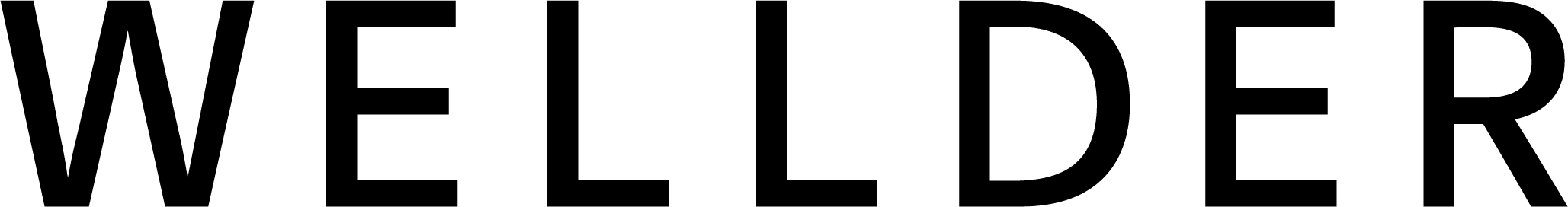 WELLDER（ウェルダー）logo