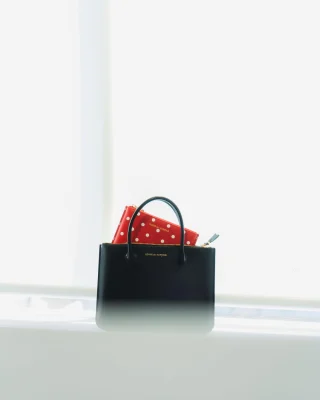 COMME des GARCONS Wallet＞新作入荷 9.13 | st company online store